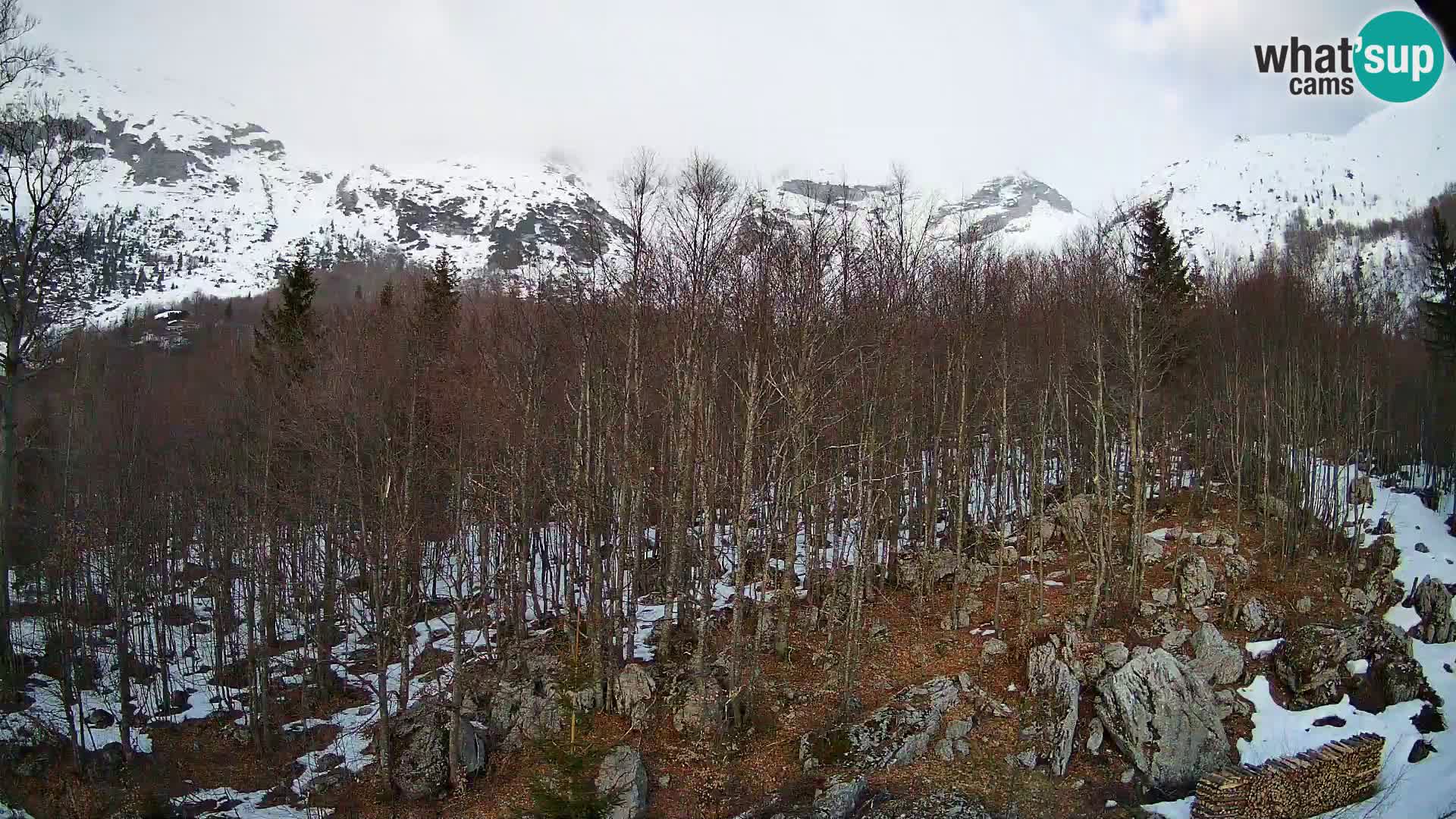 Webcam PLANINA RAZOR (1315) | Blick auf Vogel und Globoko