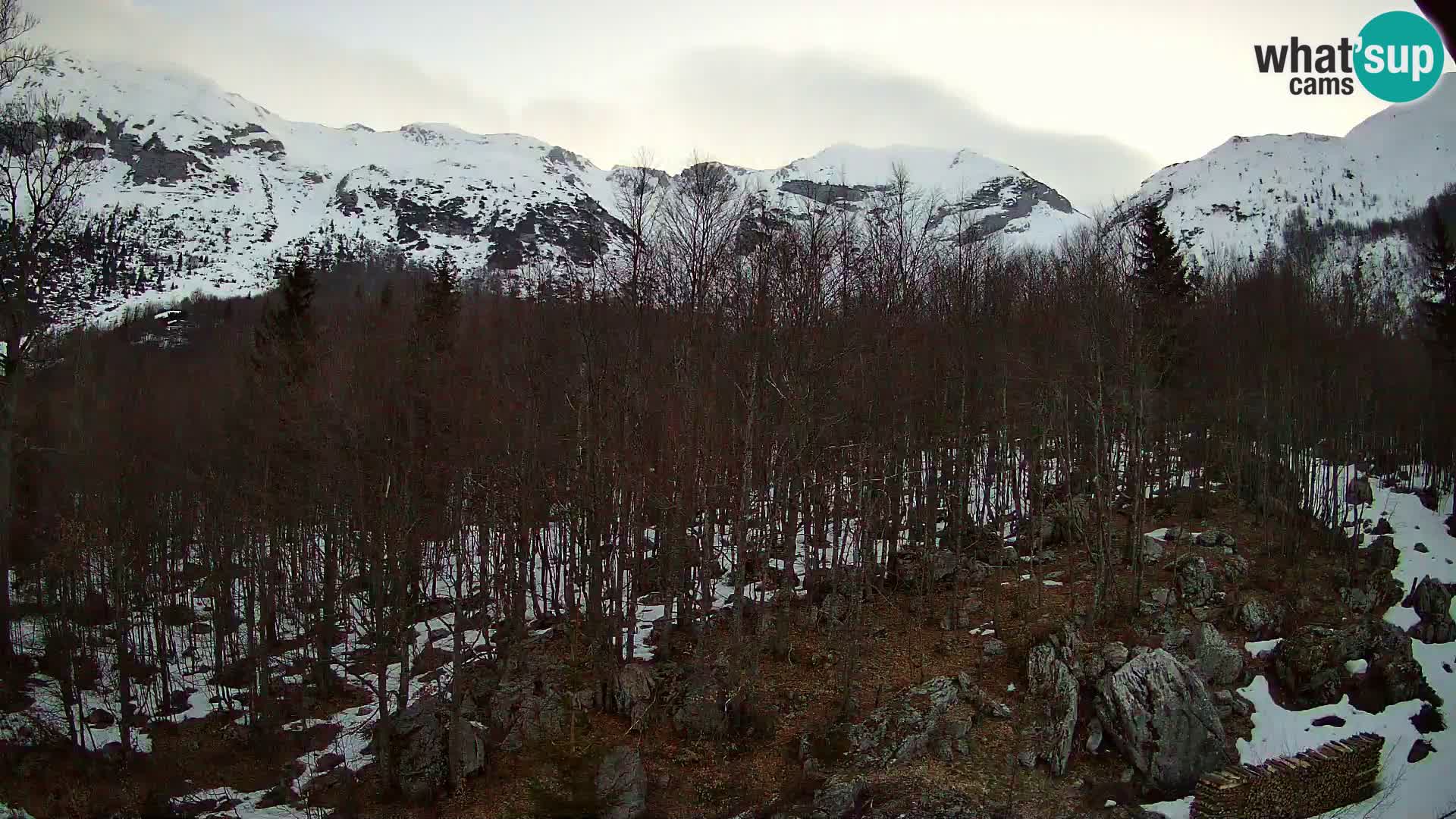 PLANINA RAZOR web kamera (1315) | pogled na Vogel i Globoko