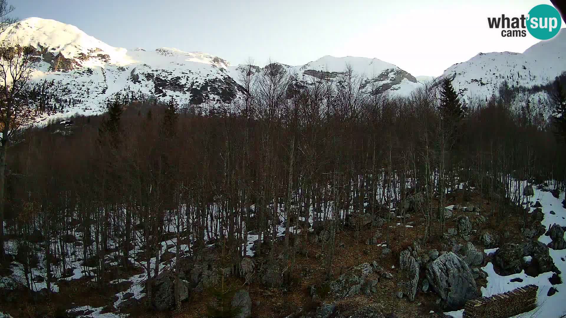 PLANINA RAZOR web kamera (1315) | pogled na Vogel i Globoko