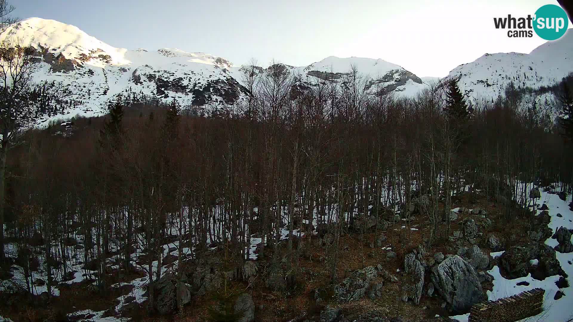 PLANINA RAZOR web kamera (1315) | pogled na Vogel i Globoko