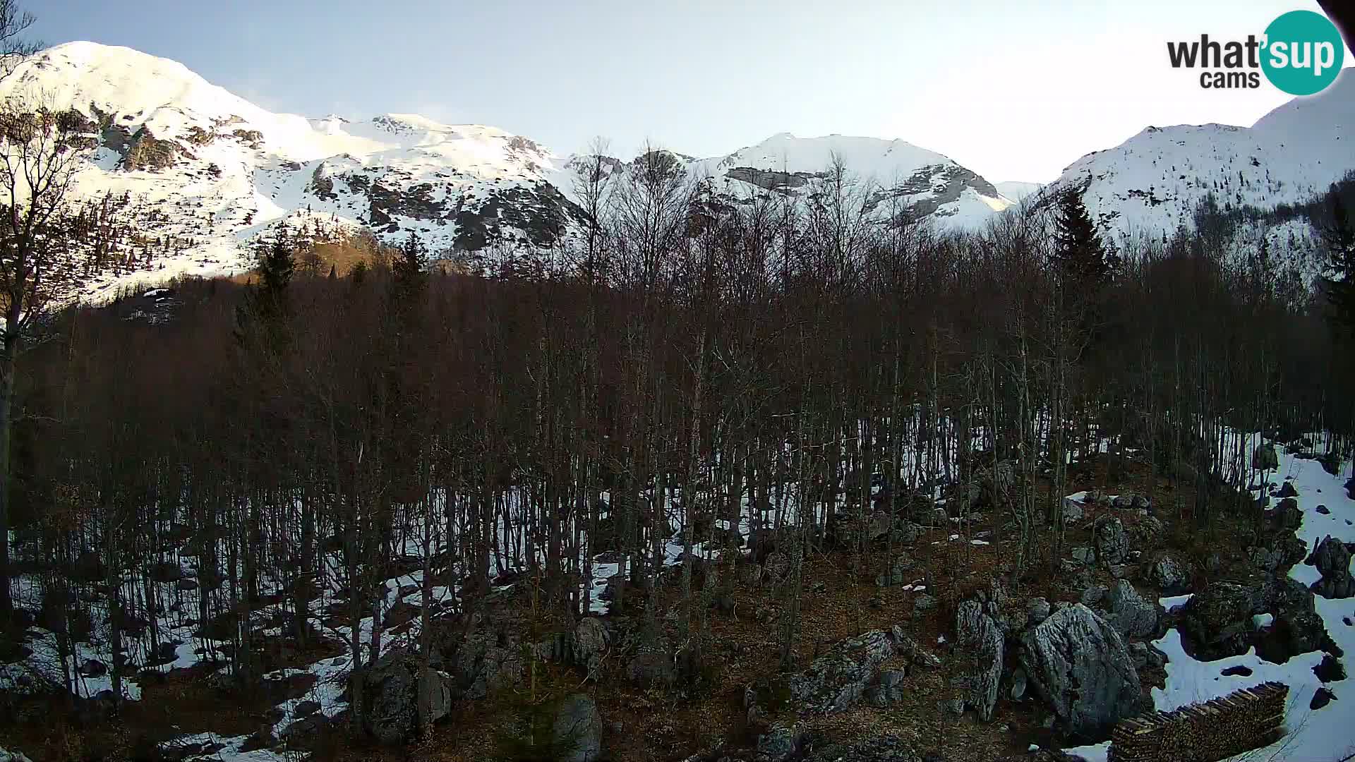 PLANINA RAZOR web kamera (1315) | pogled na Vogel i Globoko