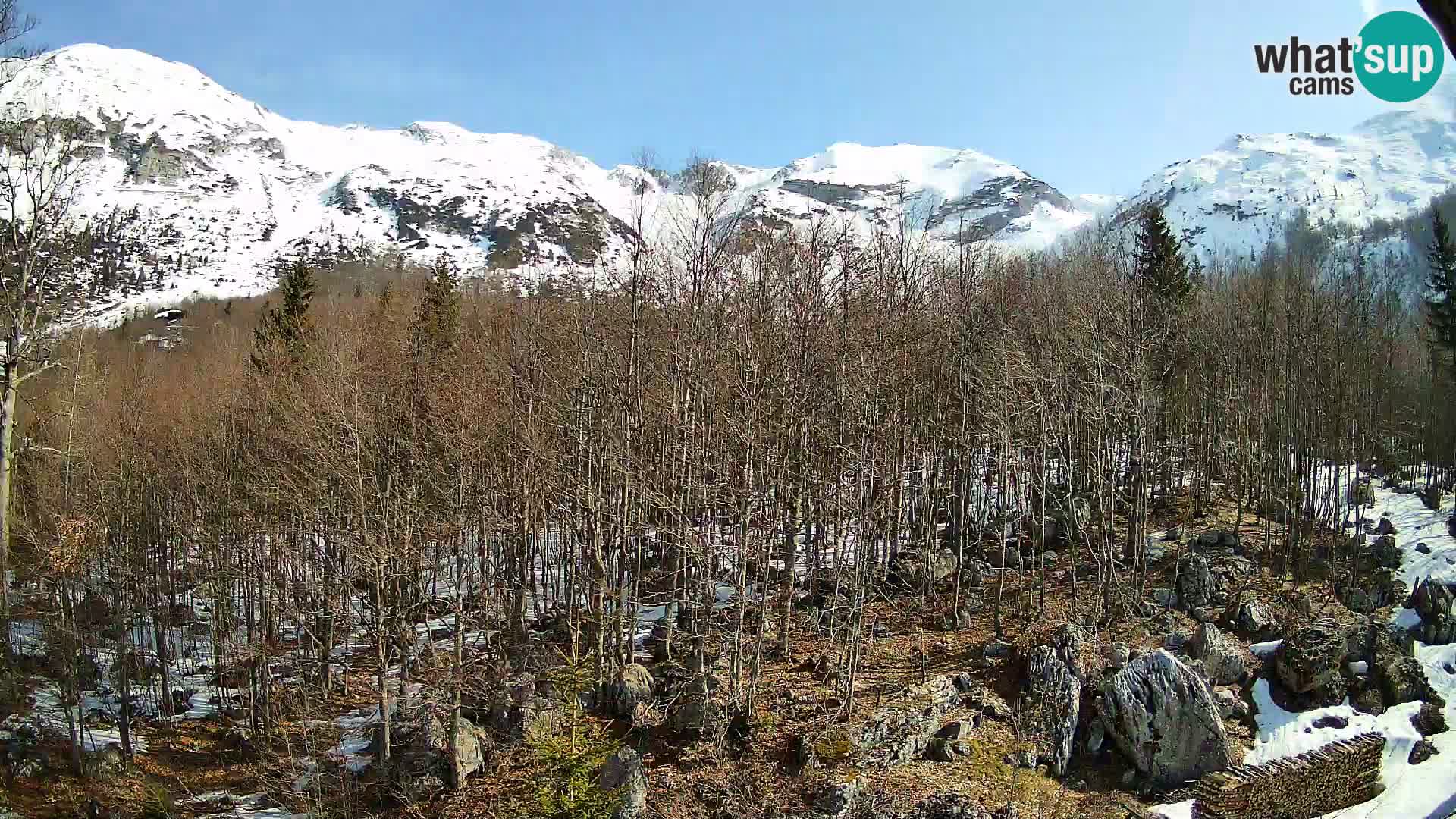 Webcam PLANINA RAZOR (1315) | Blick auf Vogel und Globoko