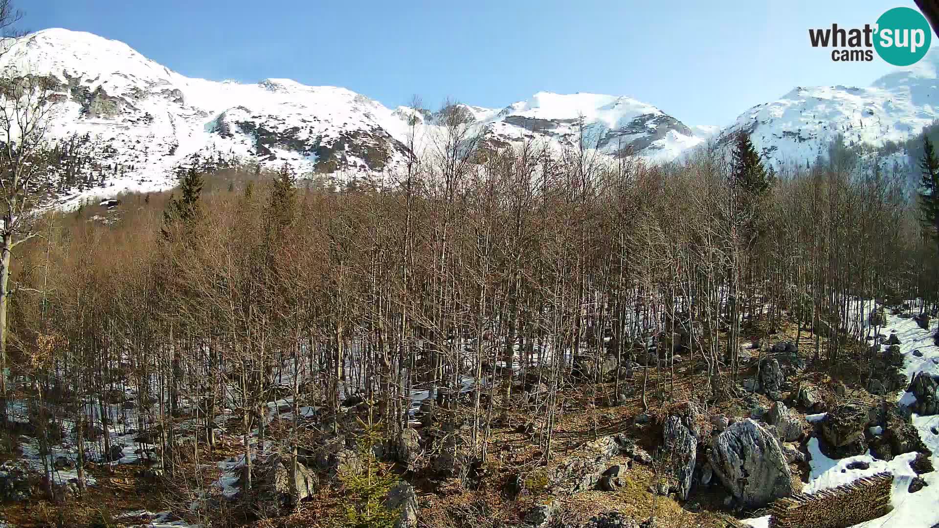 PLANINA RAZOR Live Cam (1315) | vista su Vogel e Globoko