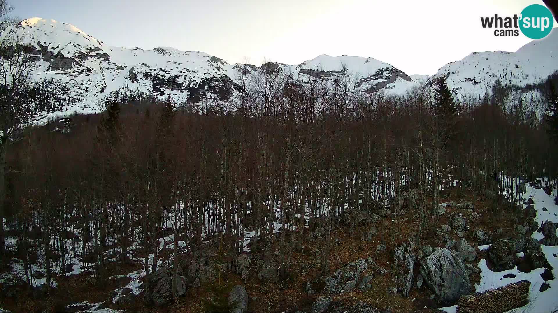 PLANINA RAZOR webcam (1315) | view to Vogel and Globoko