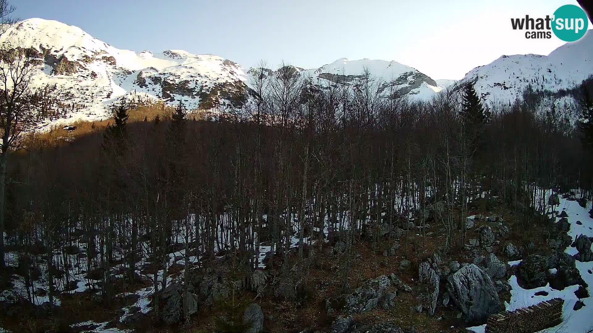 PLANINA RAZOR web kamera (1315) | pogled na Vogel i Globoko