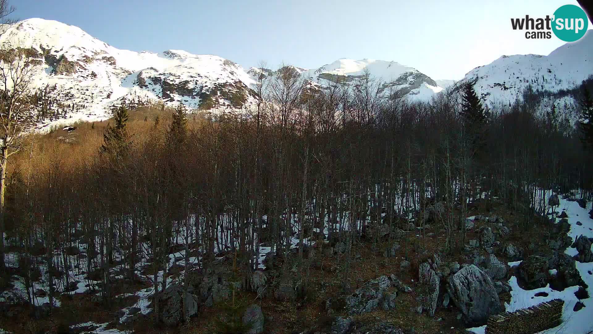 PLANINA RAZOR webcam (1315) | view to Vogel and Globoko