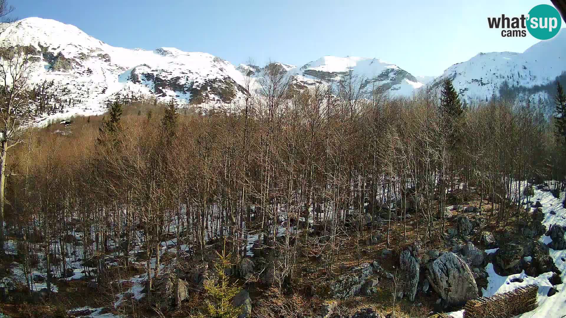 Cámara web PLANINA RAZOR (1315) | vista a Vogel y Globoko