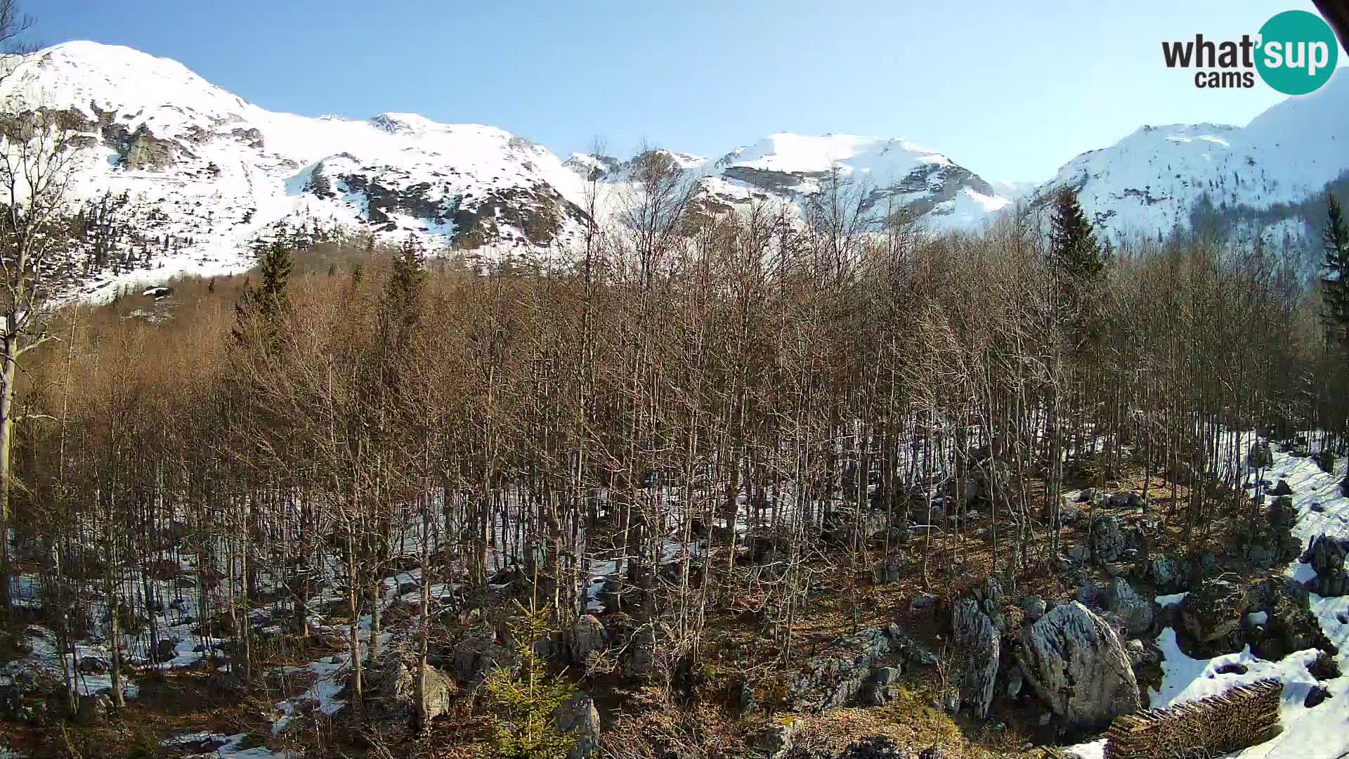 PLANINA RAZOR Live Cam (1315) | vista su Vogel e Globoko