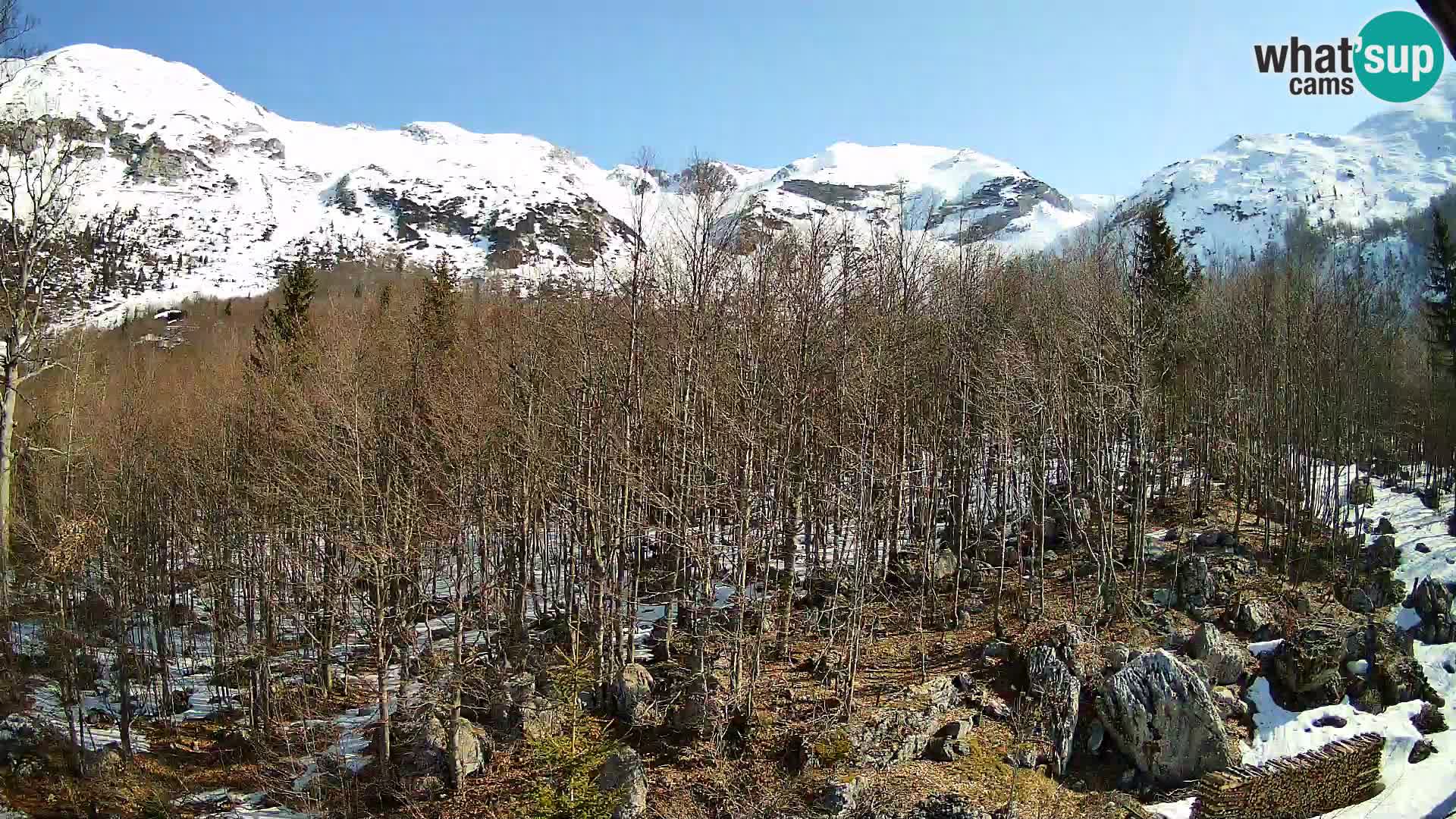 Webcam PLANINA RAZOR (1315) | Blick auf Vogel und Globoko