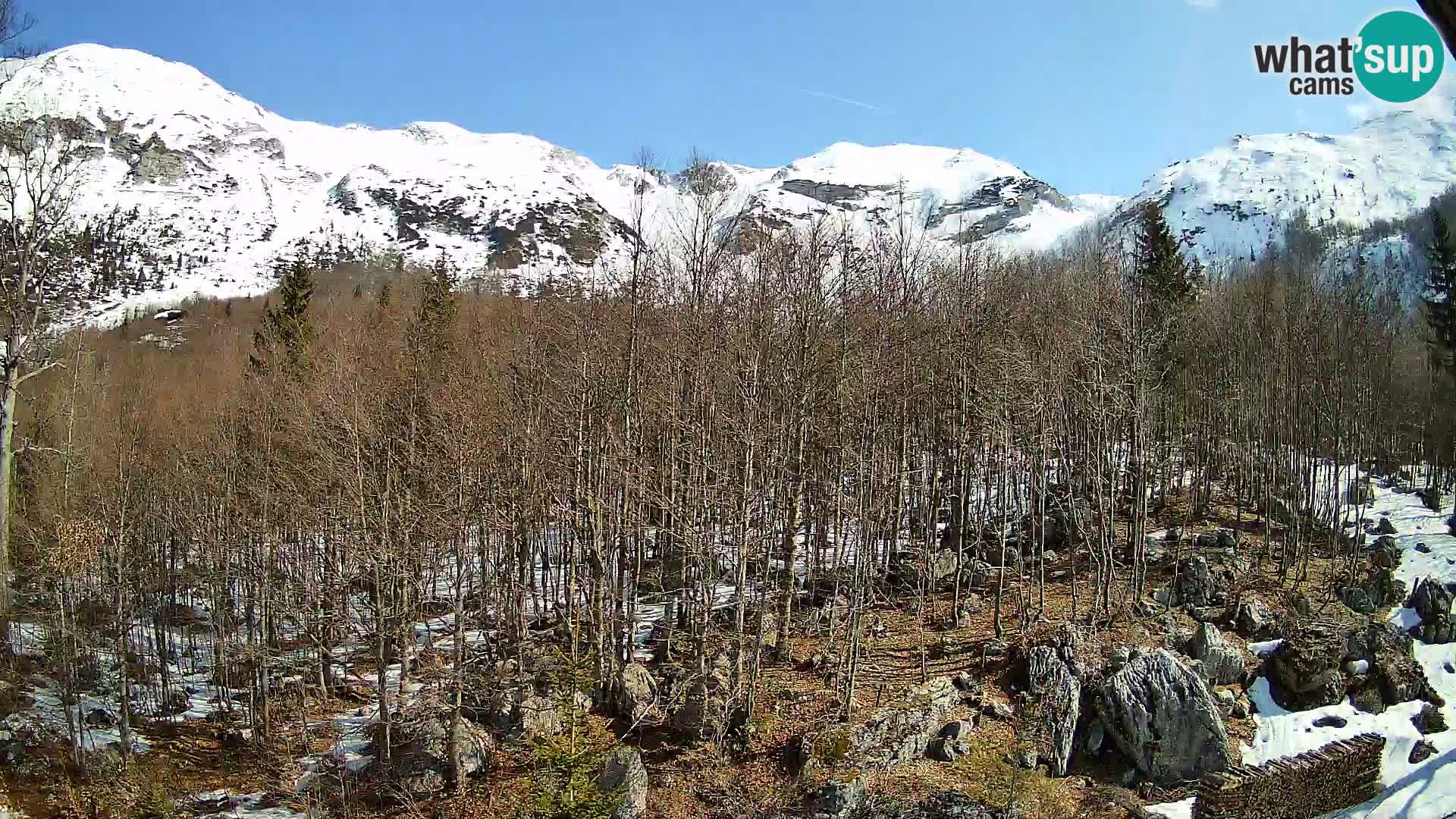 Cámara web PLANINA RAZOR (1315) | vista a Vogel y Globoko
