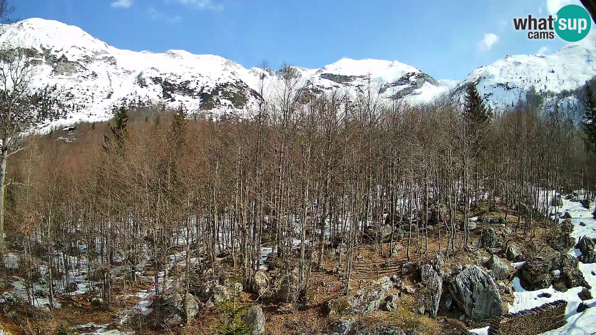 PLANINA RAZOR Live Cam (1315) | vista su Vogel e Globoko