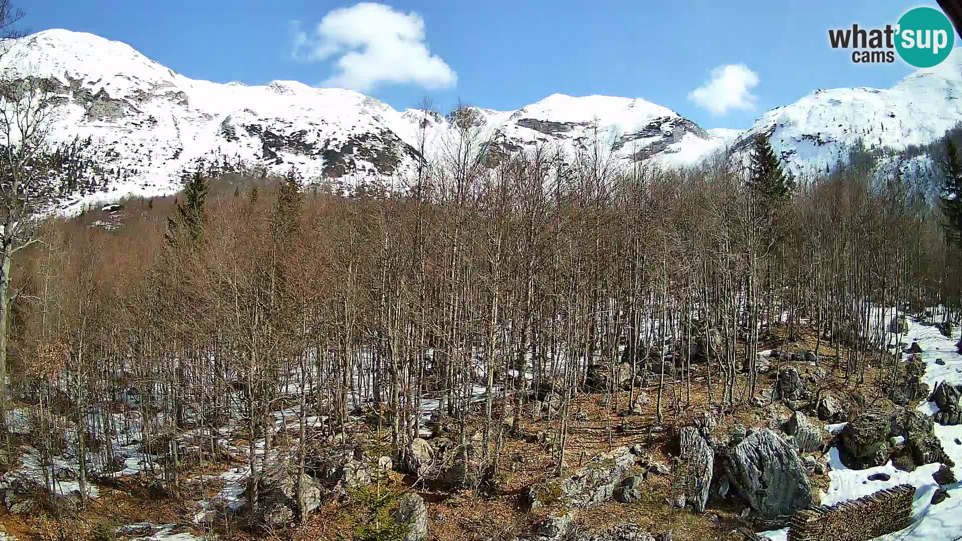 Cámara web PLANINA RAZOR (1315) | vista a Vogel y Globoko