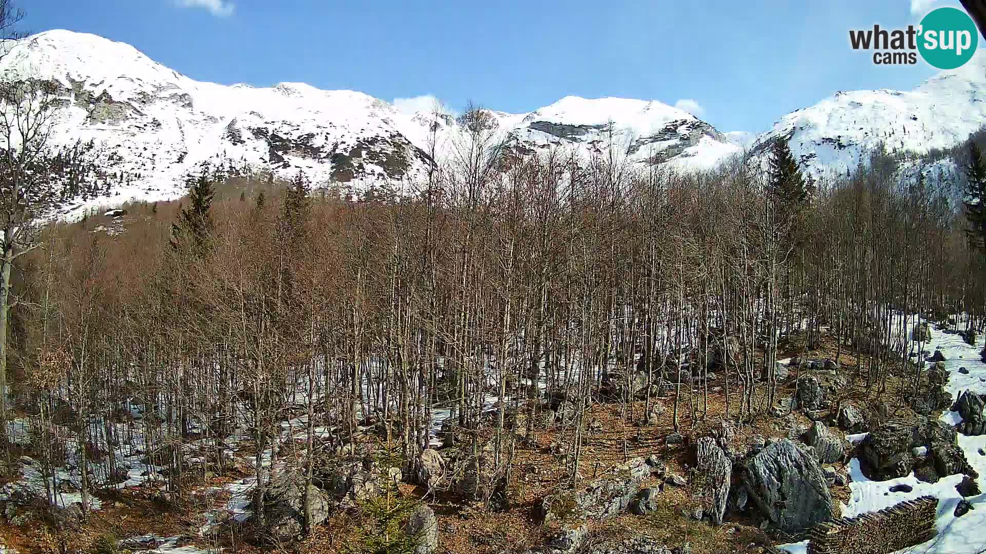 Cámara web PLANINA RAZOR (1315) | vista a Vogel y Globoko