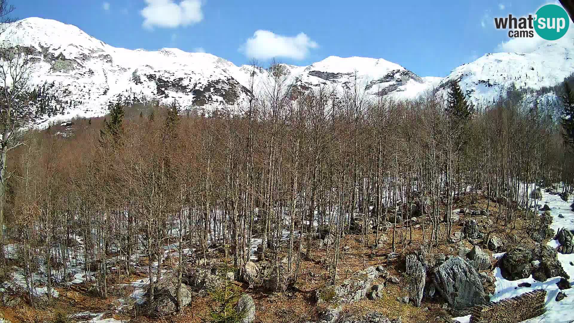 PLANINA RAZOR Live Cam (1315) | vista su Vogel e Globoko
