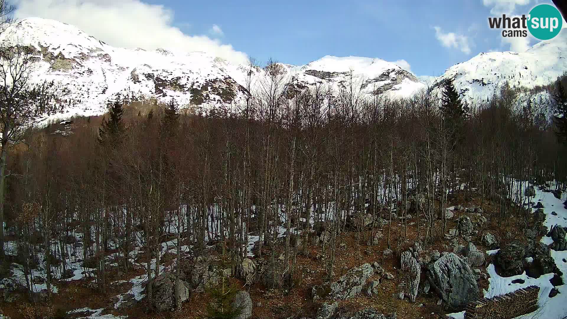 PLANINA RAZOR Live Cam (1315) | vista su Vogel e Globoko