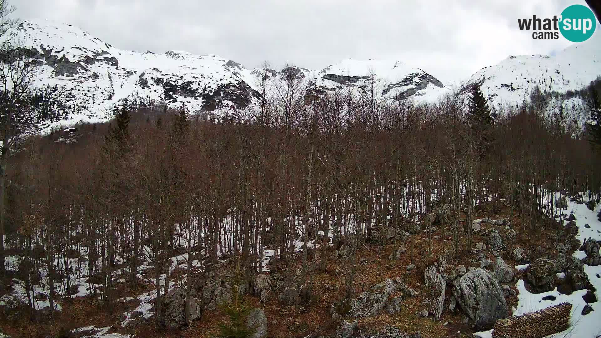 Webcam PLANINA RAZOR (1315) | Blick auf Vogel und Globoko