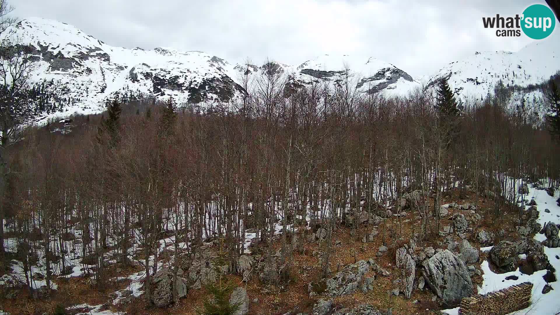 PLANINA RAZOR Live Cam (1315) | vista su Vogel e Globoko