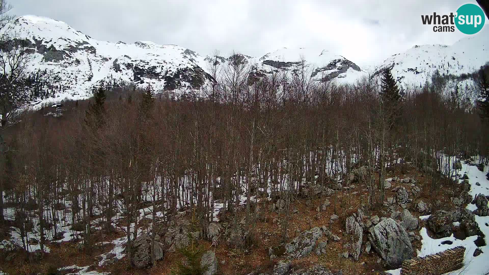 Livecam PLANINA RAZOR (1315) | vue sur Vogel et Globoko