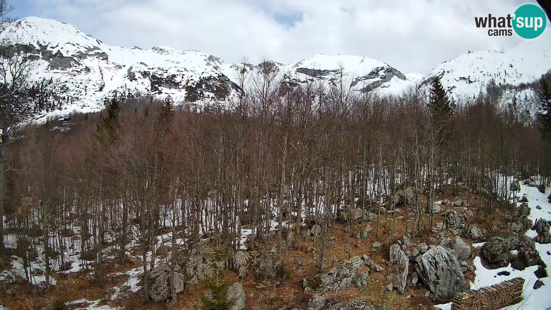 Cámara web PLANINA RAZOR (1315) | vista a Vogel y Globoko