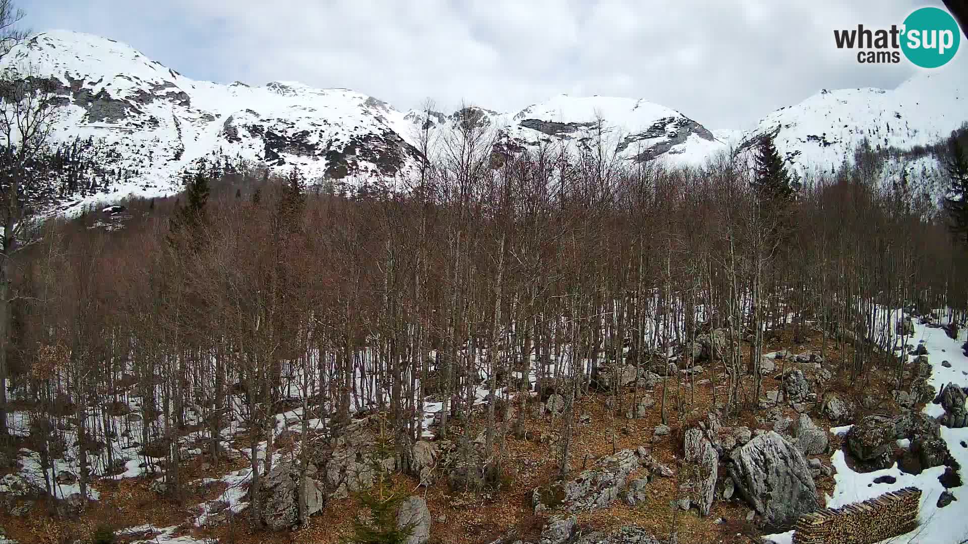 PLANINA RAZOR kamera (1315) | pogled na Vogel in Globoko