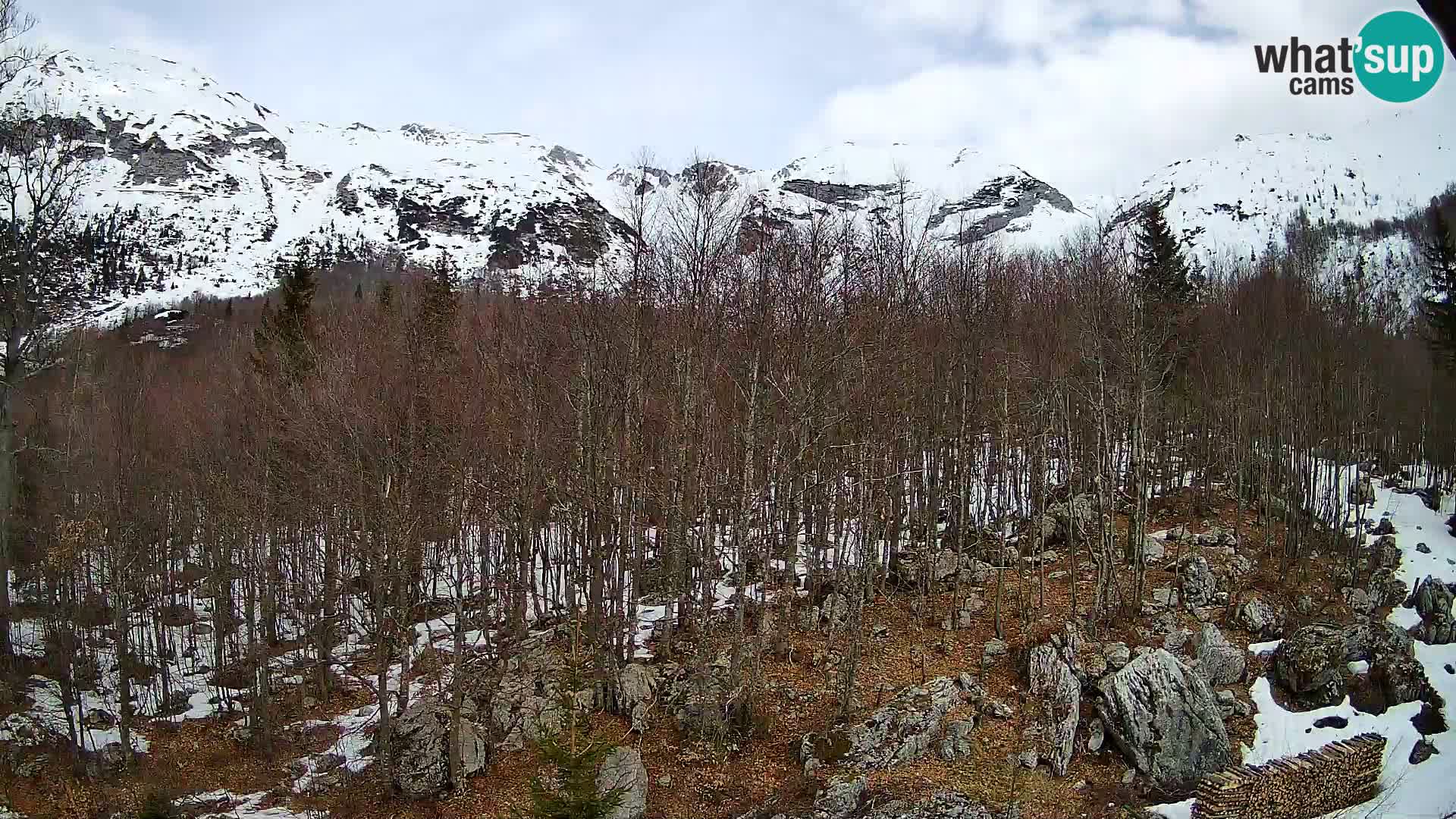 PLANINA RAZOR kamera (1315) | pogled na Vogel in Globoko