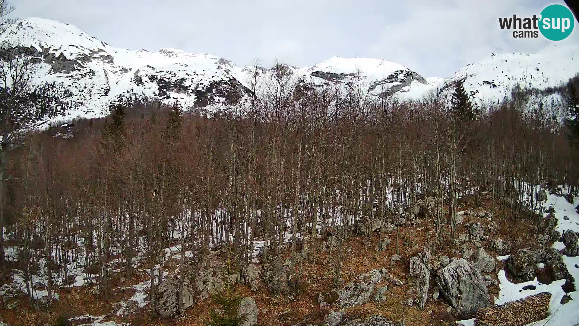 Webcam PLANINA RAZOR (1315) | Blick auf Vogel und Globoko