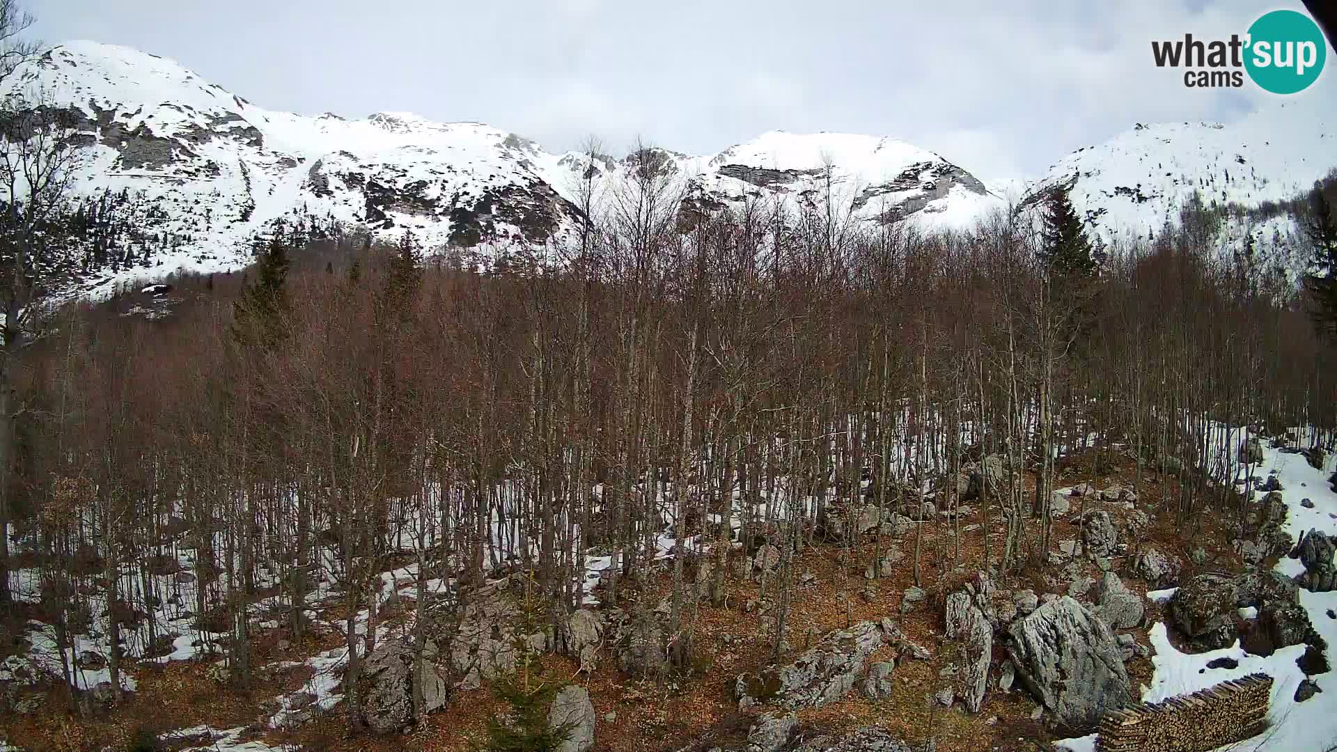 Webcam PLANINA RAZOR (1315) | Blick auf Vogel und Globoko