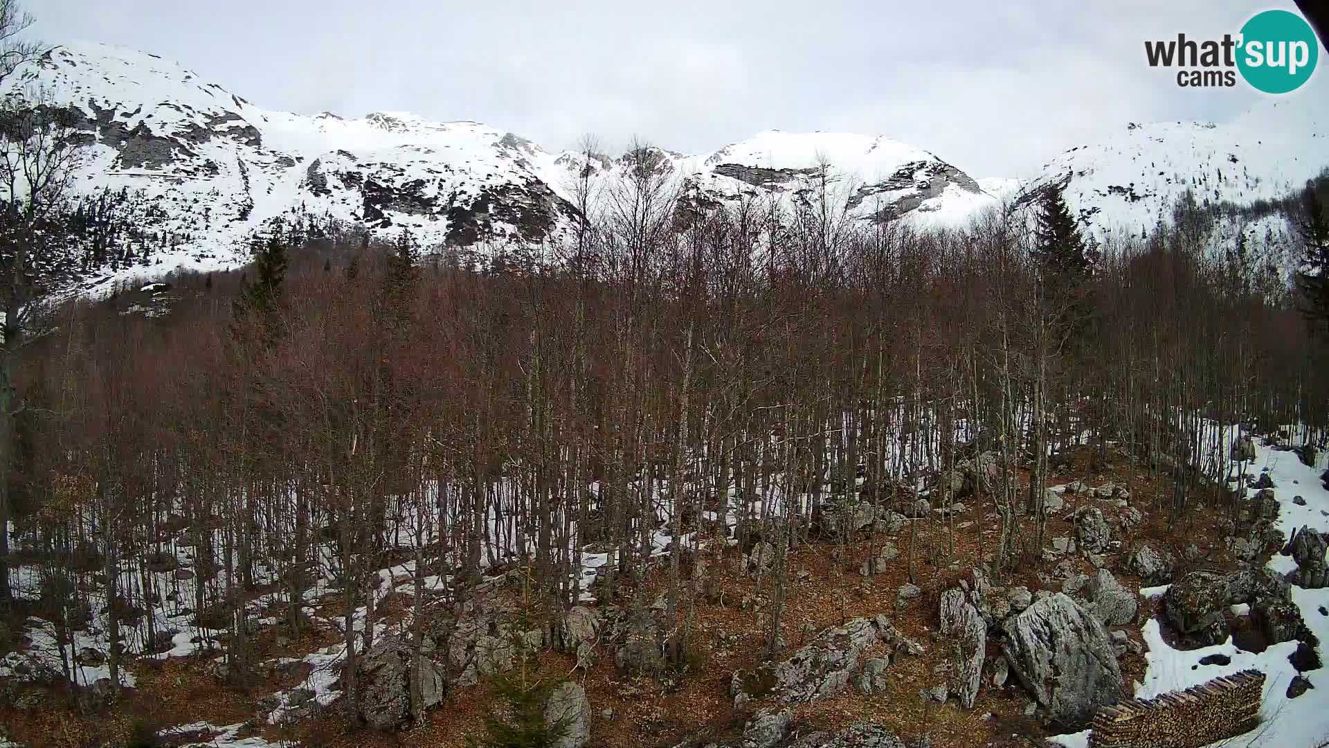 PLANINA RAZOR webcam (1315) | view to Vogel and Globoko