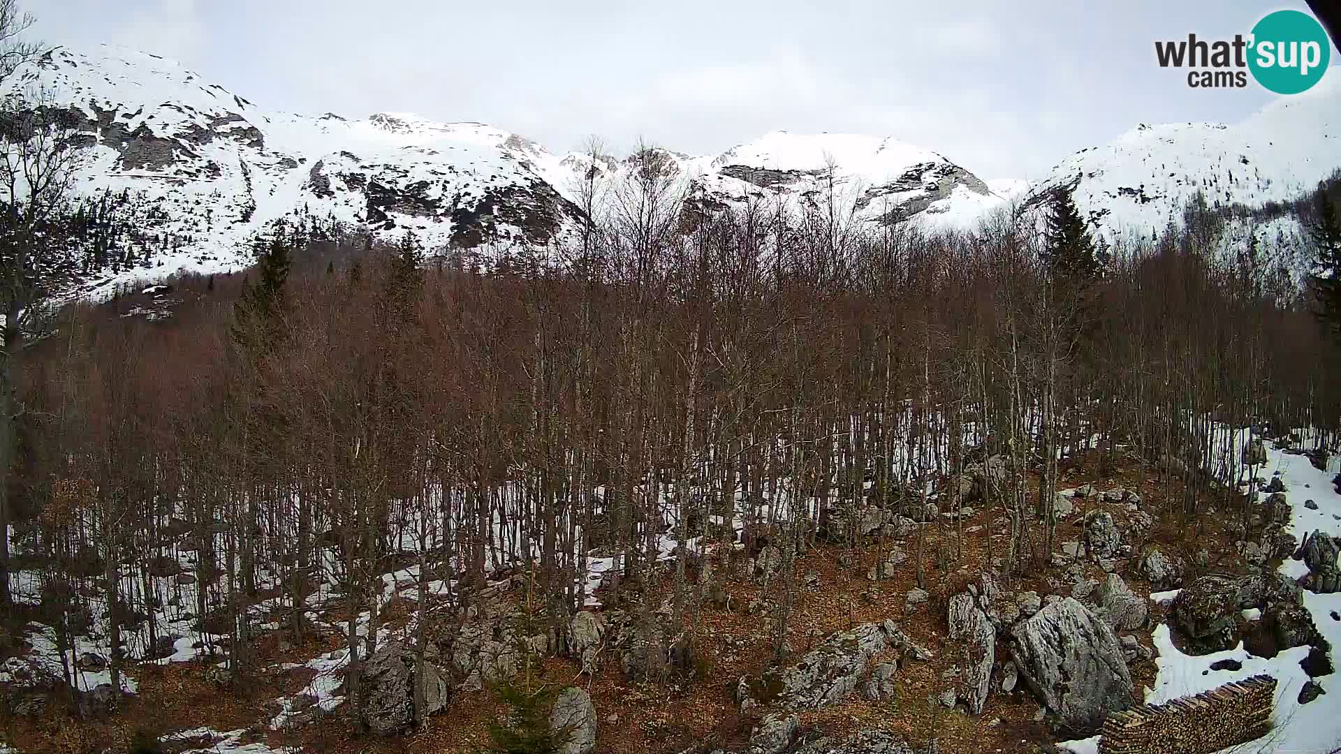 PLANINA RAZOR Live Cam (1315) | vista su Vogel e Globoko