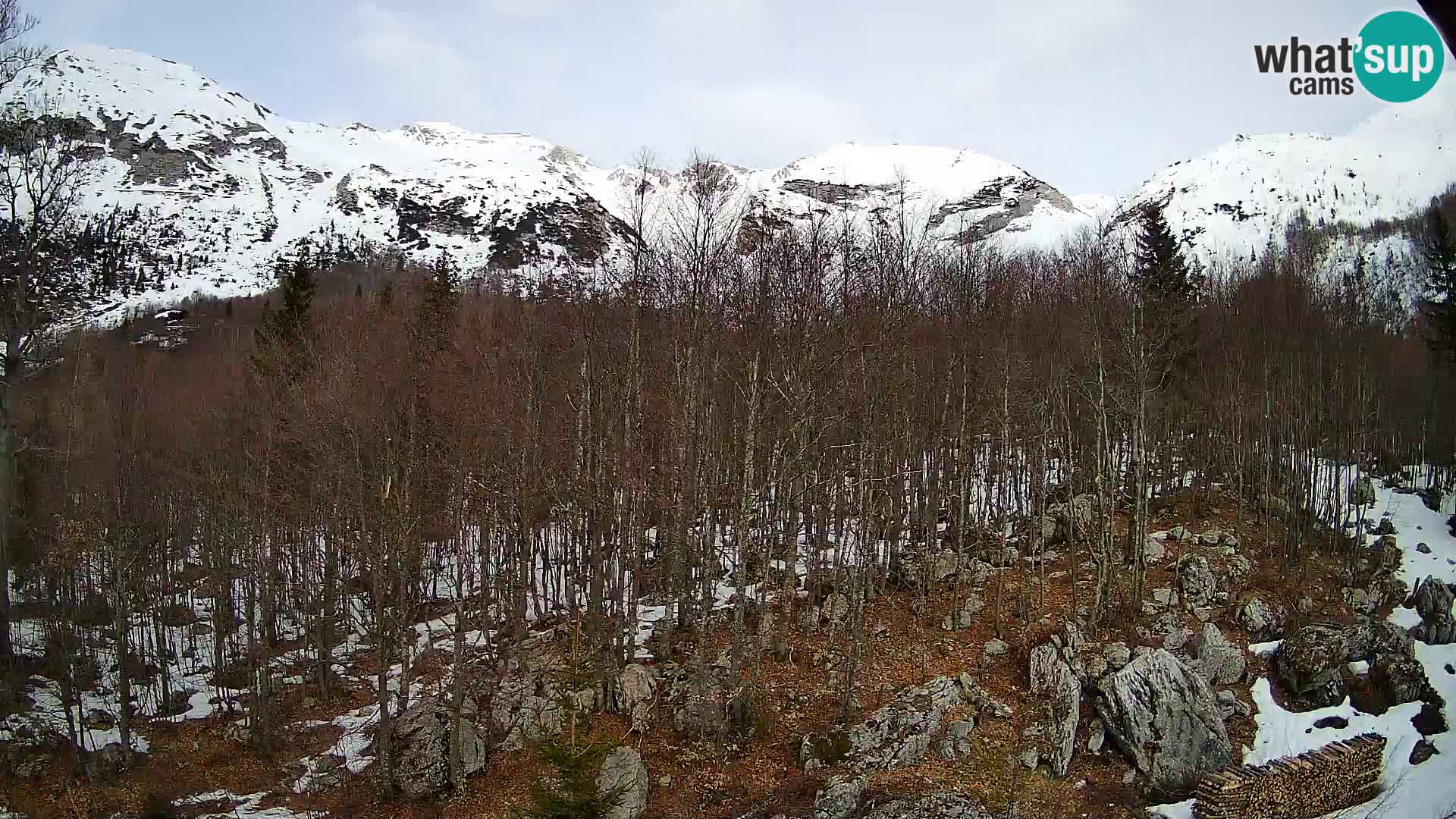 Livecam PLANINA RAZOR (1315) | vue sur Vogel et Globoko