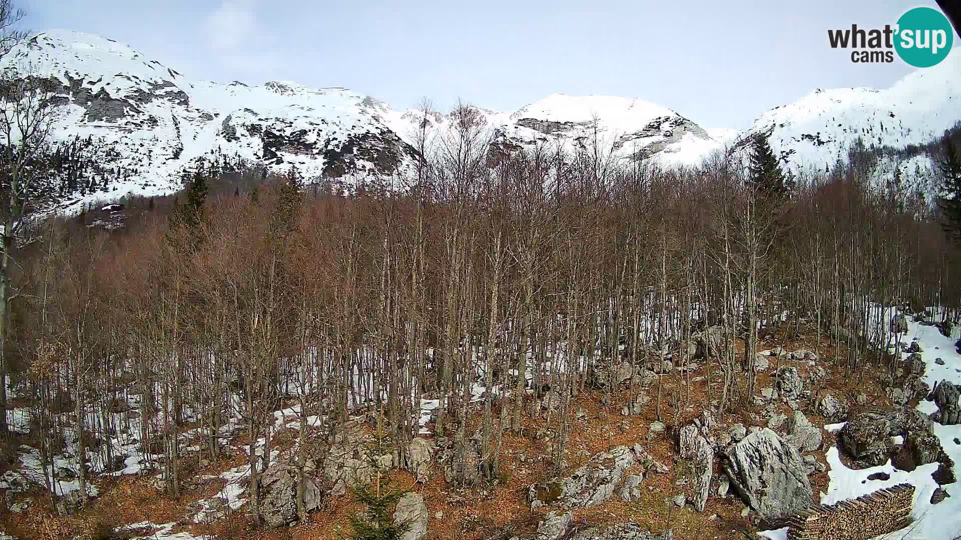 PLANINA RAZOR kamera (1315) | pogled na Vogel in Globoko