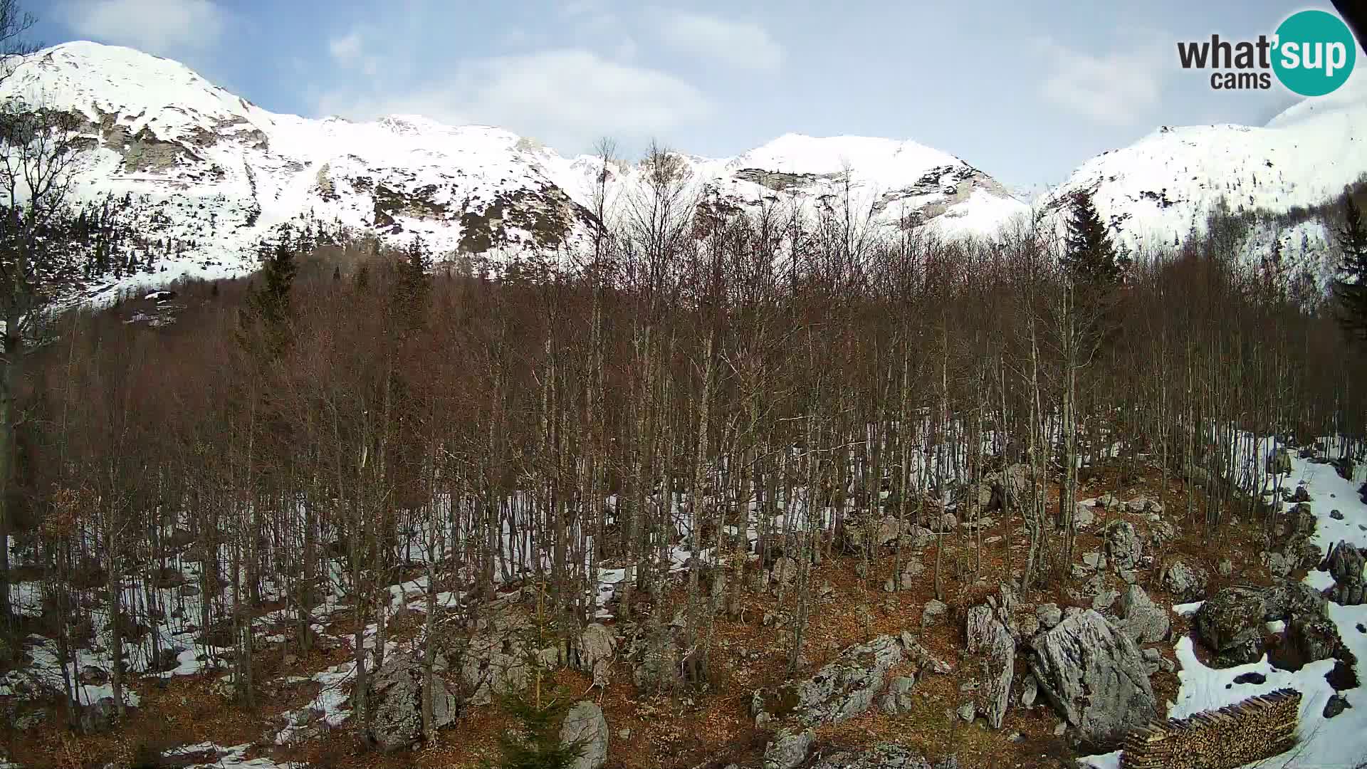 PLANINA RAZOR Live Cam (1315) | vista su Vogel e Globoko