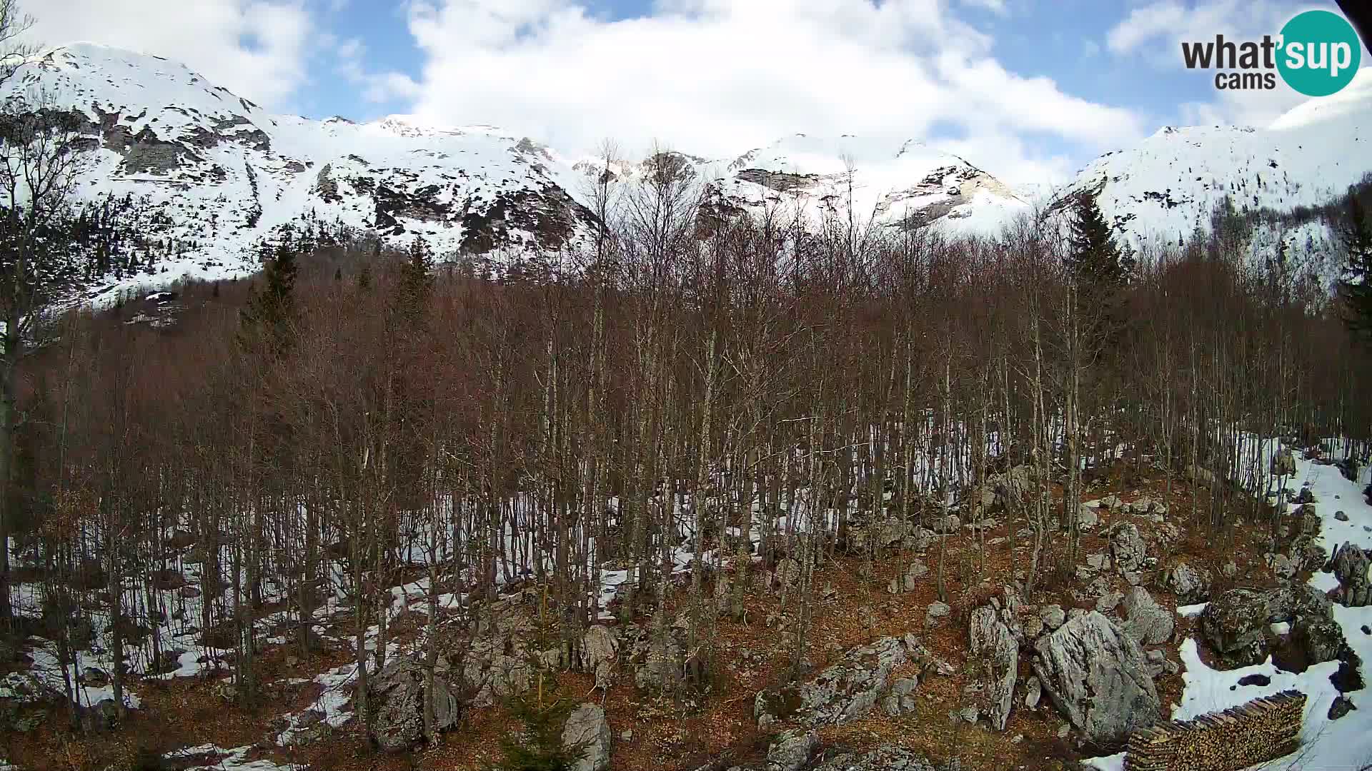 Webcam PLANINA RAZOR (1315) | Blick auf Vogel und Globoko
