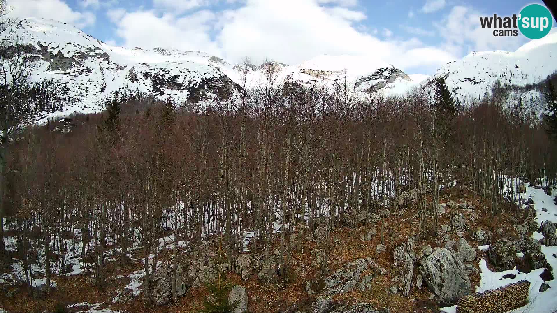 PLANINA RAZOR webcam (1315) | view to Vogel and Globoko