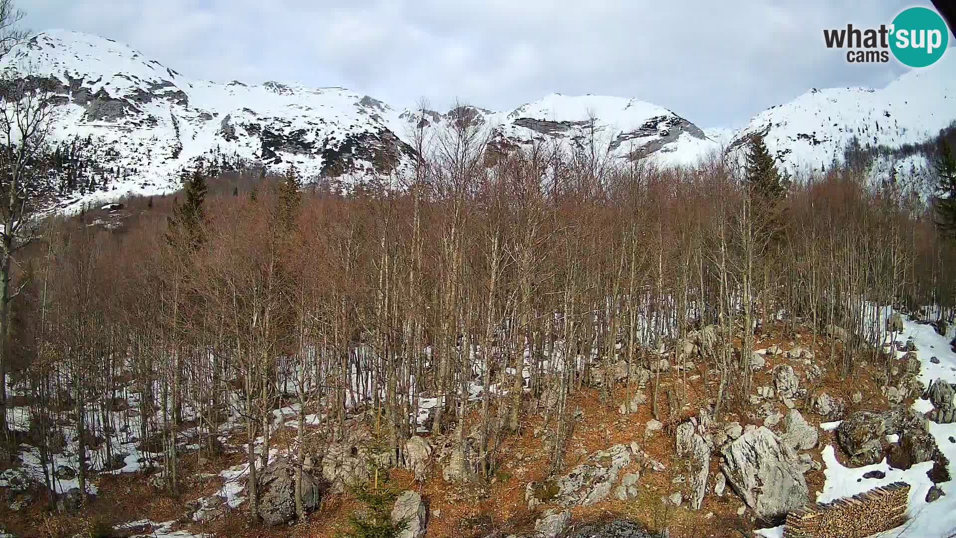Livecam PLANINA RAZOR (1315) | vue sur Vogel et Globoko