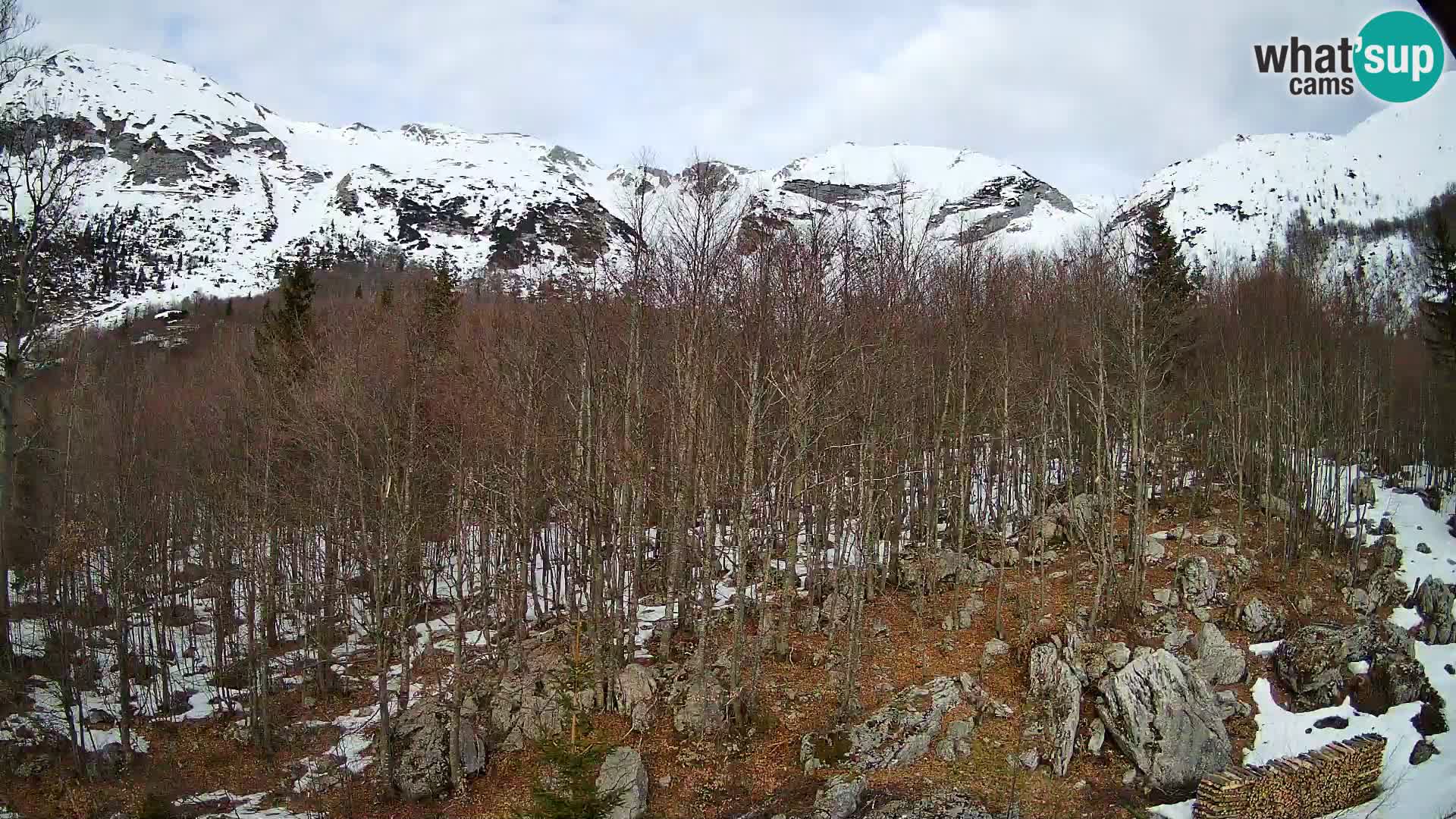 Livecam PLANINA RAZOR (1315) | vue sur Vogel et Globoko