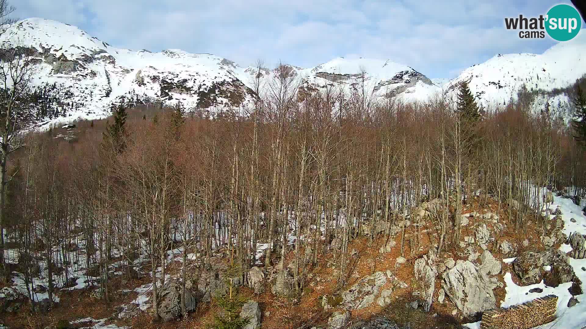 PLANINA RAZOR webcam (1315) | view to Vogel and Globoko