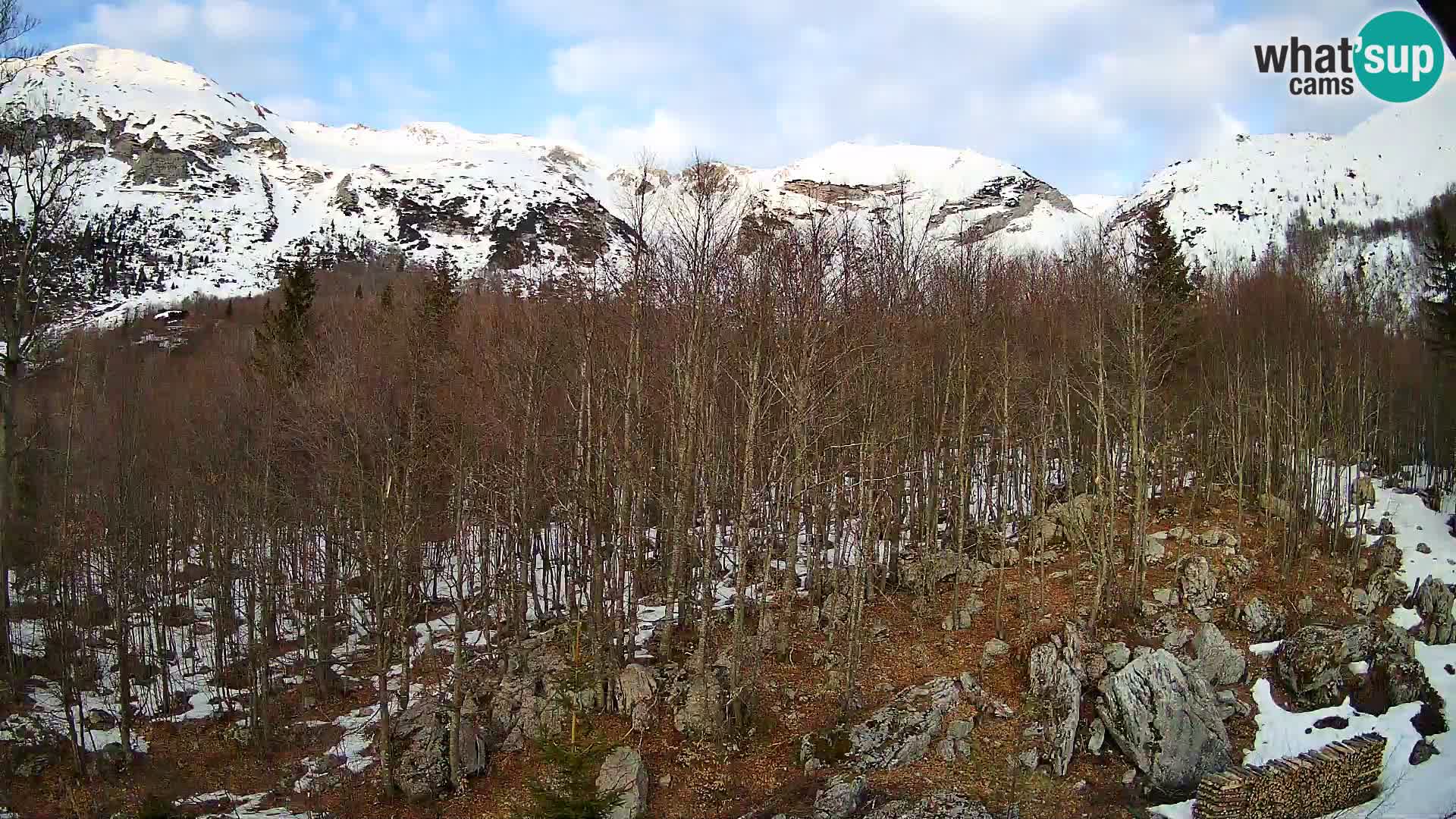 Livecam PLANINA RAZOR (1315) | vue sur Vogel et Globoko