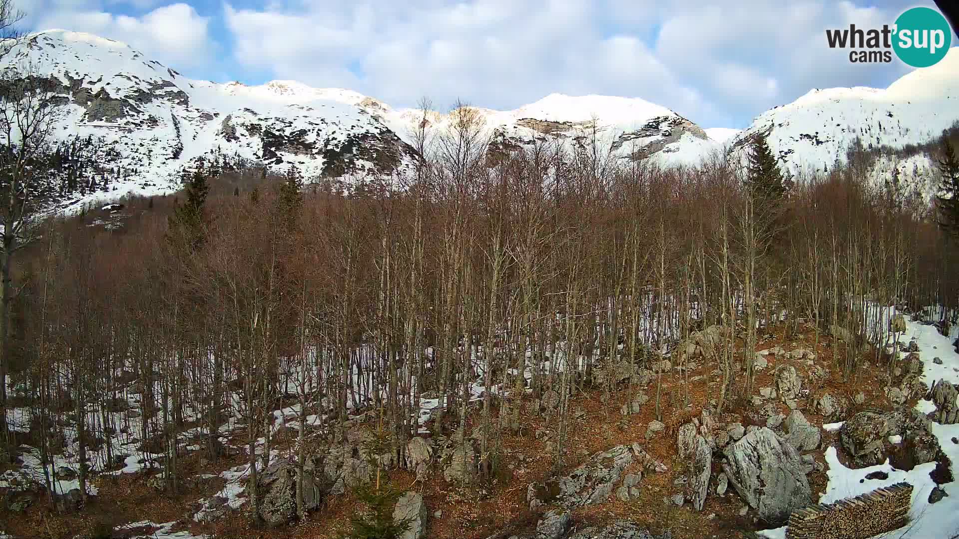 PLANINA RAZOR web kamera (1315) | pogled na Vogel i Globoko