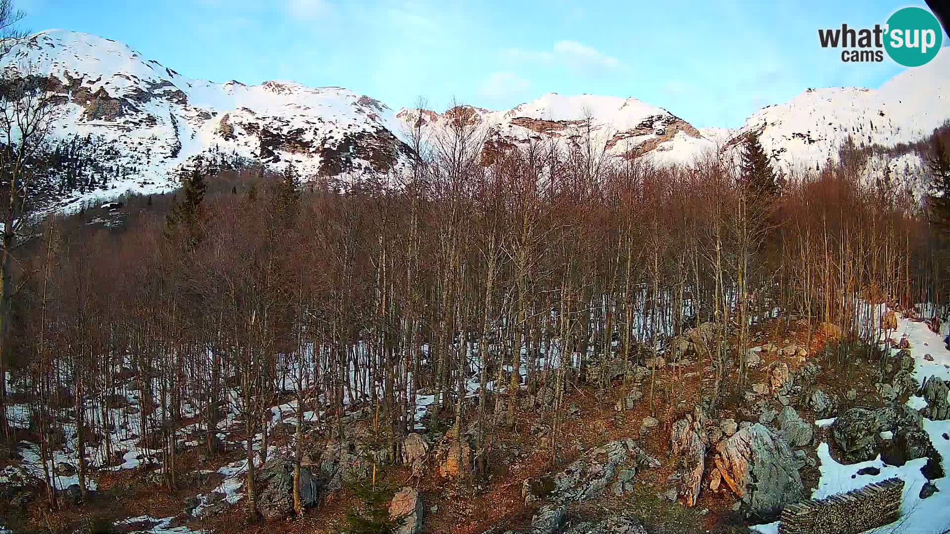PLANINA RAZOR webcam (1315) | view to Vogel and Globoko