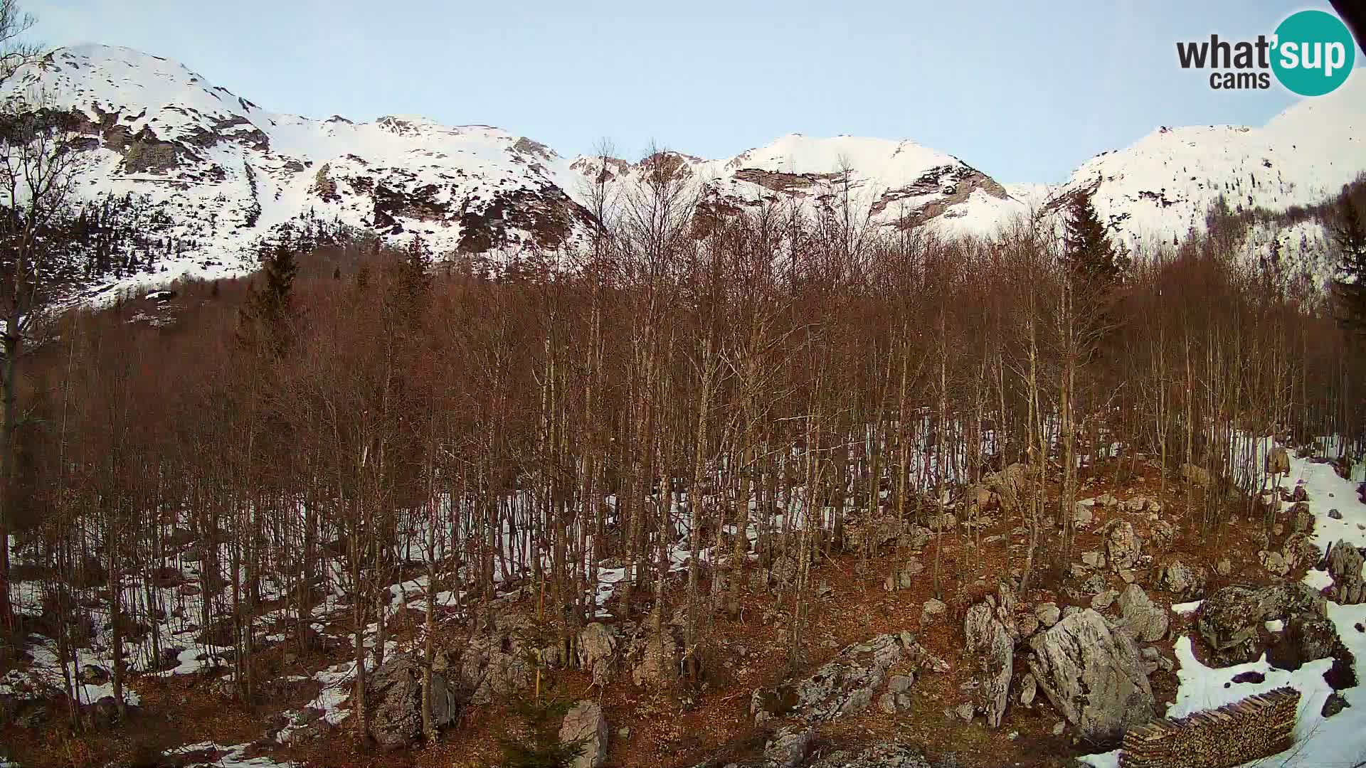 PLANINA RAZOR kamera (1315) | pogled na Vogel in Globoko