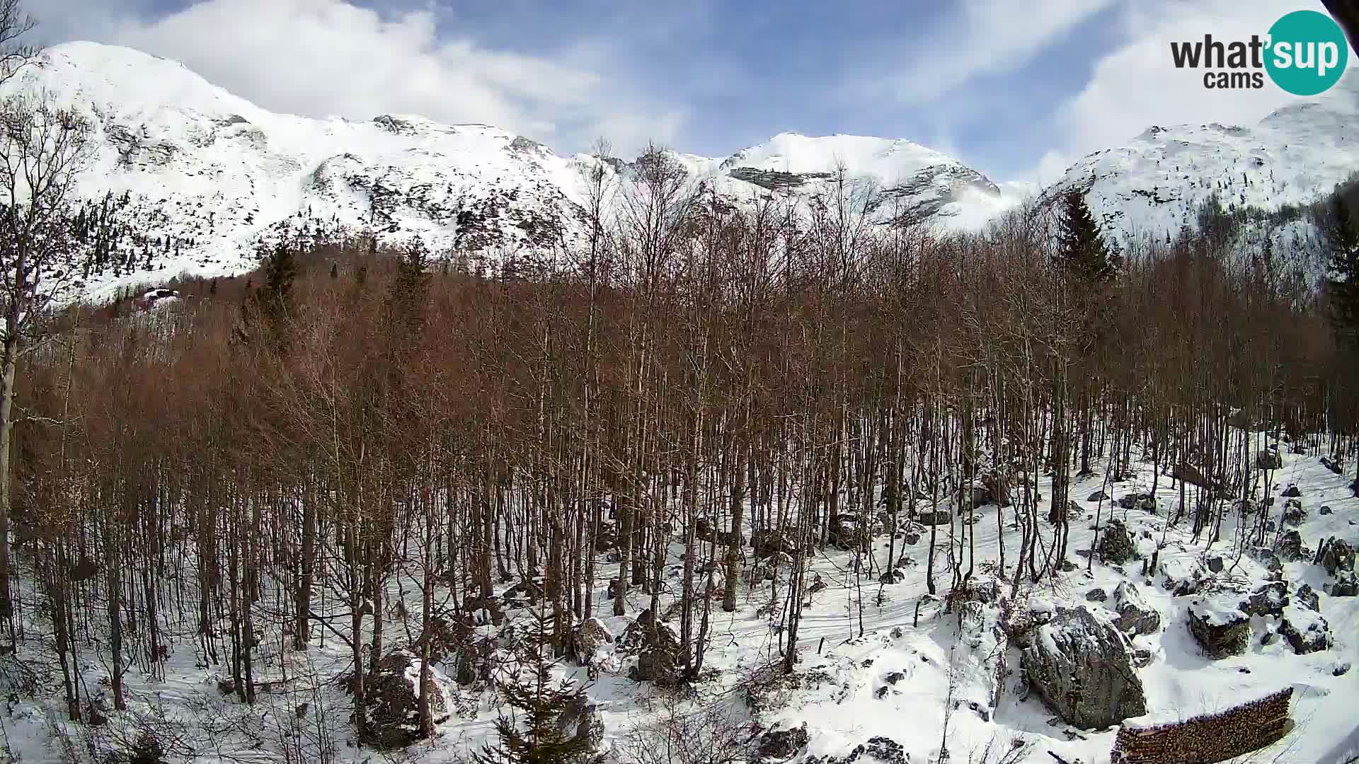 Cámara web PLANINA RAZOR (1315) | vista a Vogel y Globoko