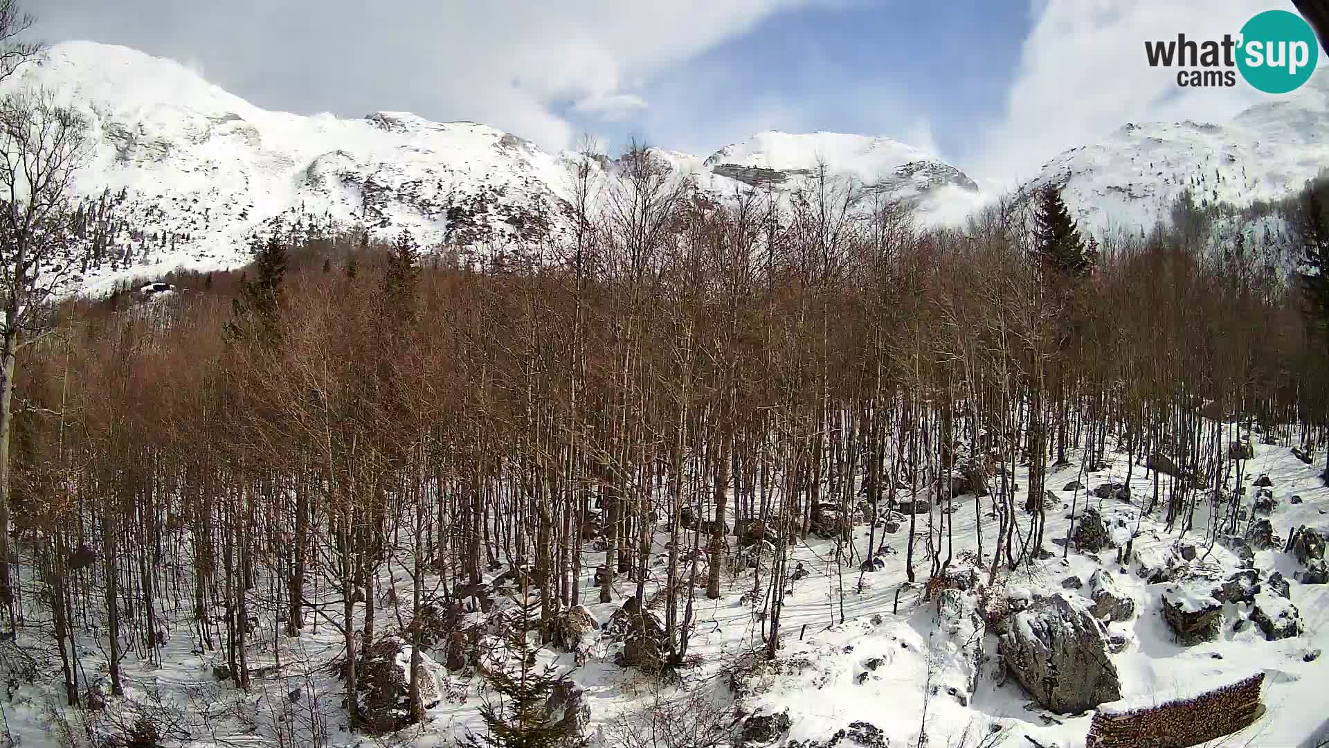 PLANINA RAZOR web kamera (1315) | pogled na Vogel i Globoko
