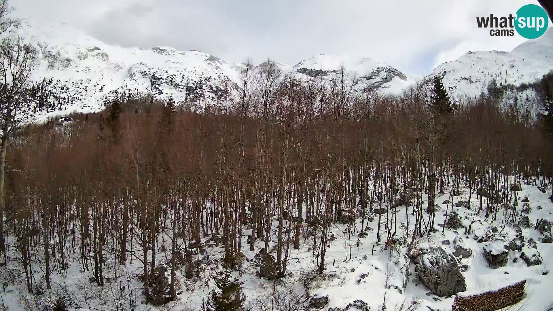 PLANINA RAZOR web kamera (1315) | pogled na Vogel i Globoko