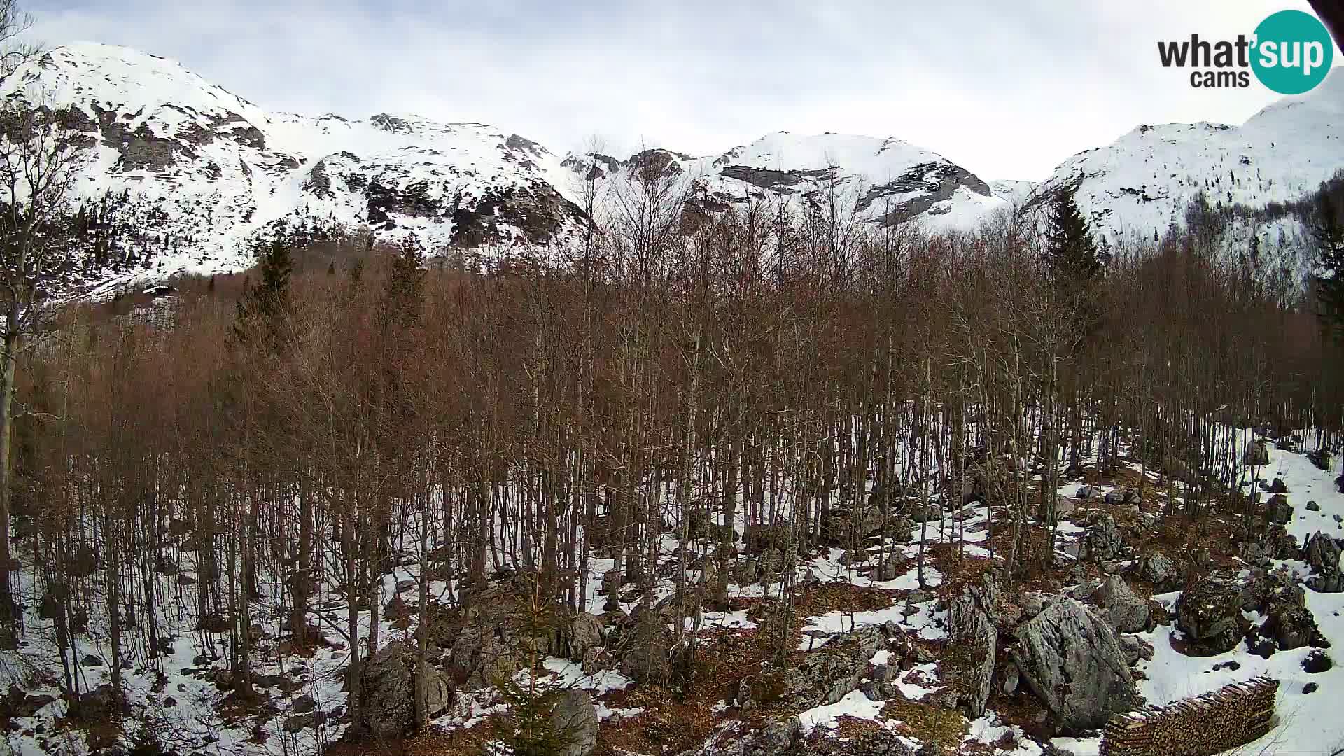 PLANINA RAZOR kamera (1315) | pogled na Vogel in Globoko