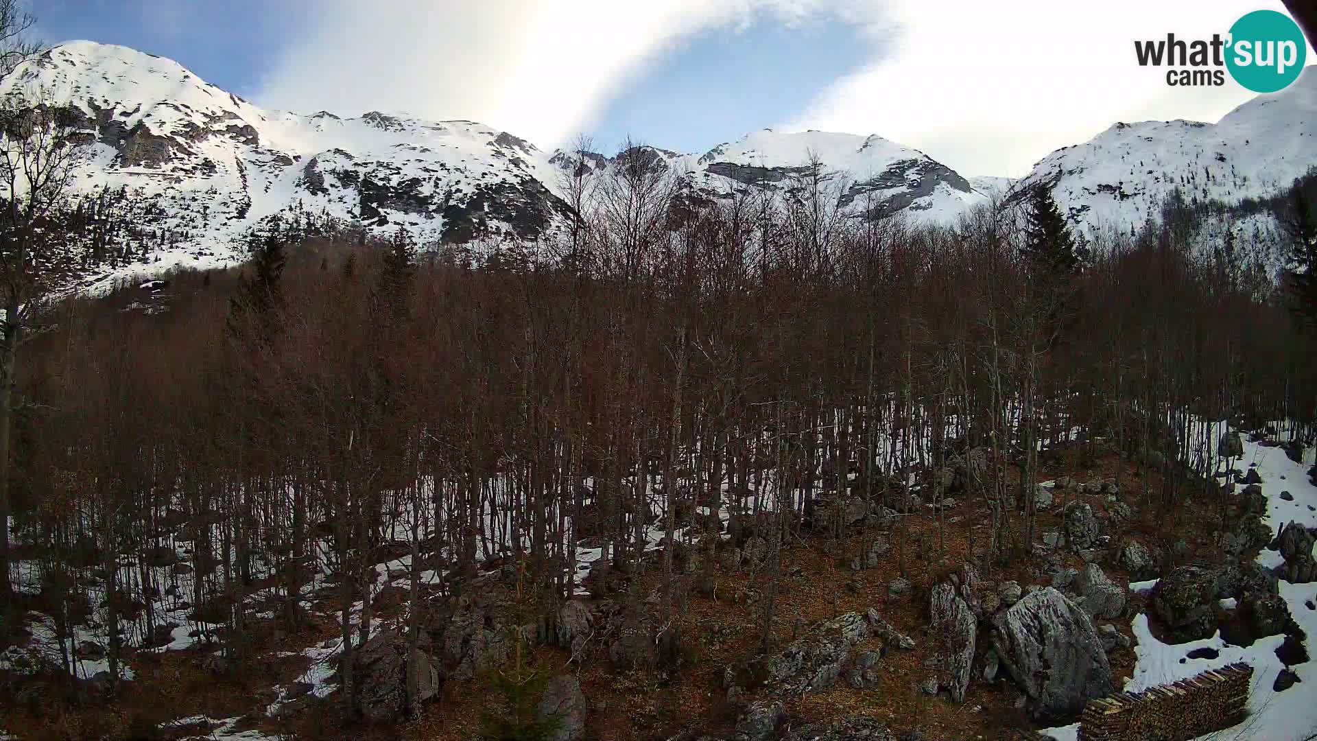 PLANINA RAZOR kamera (1315) | pogled na Vogel in Globoko