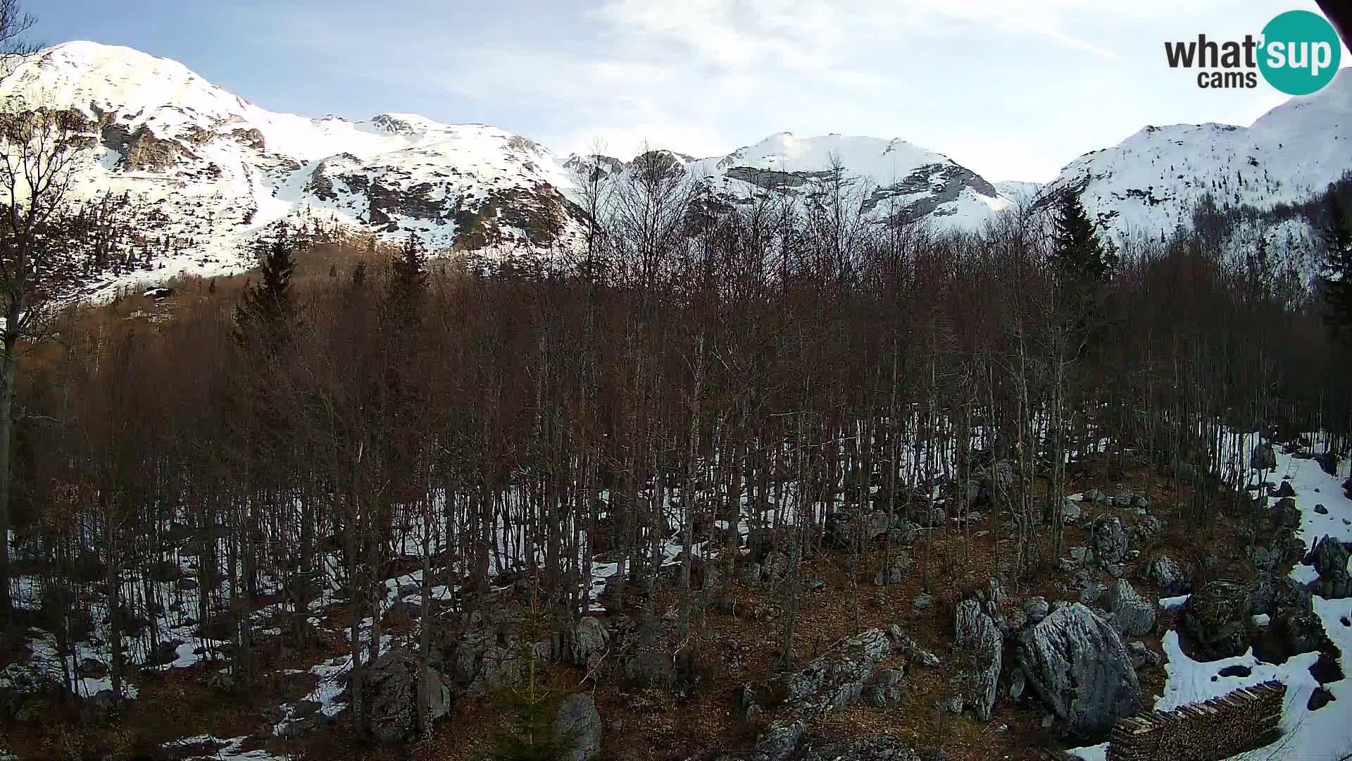 Livecam PLANINA RAZOR (1315) | vue sur Vogel et Globoko