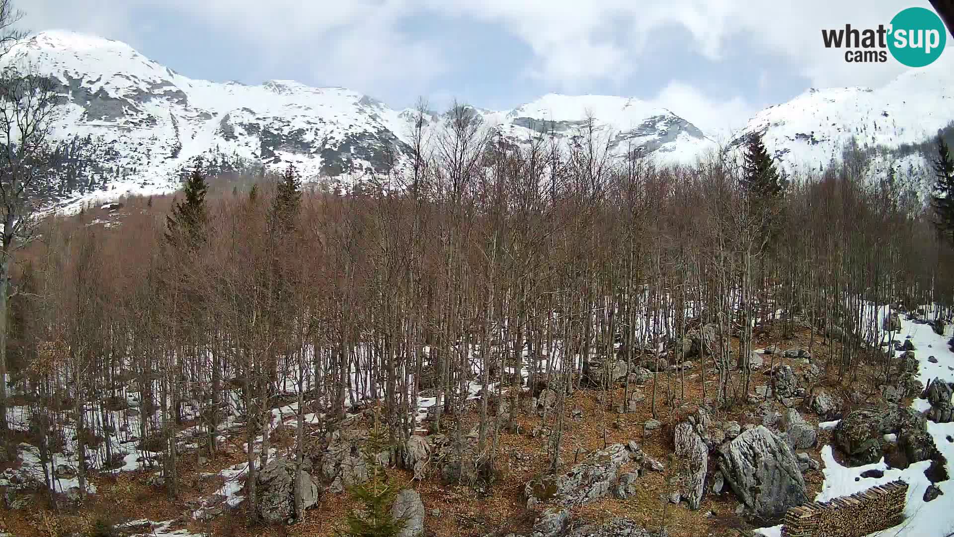 Webcam PLANINA RAZOR (1315) | Blick auf Vogel und Globoko