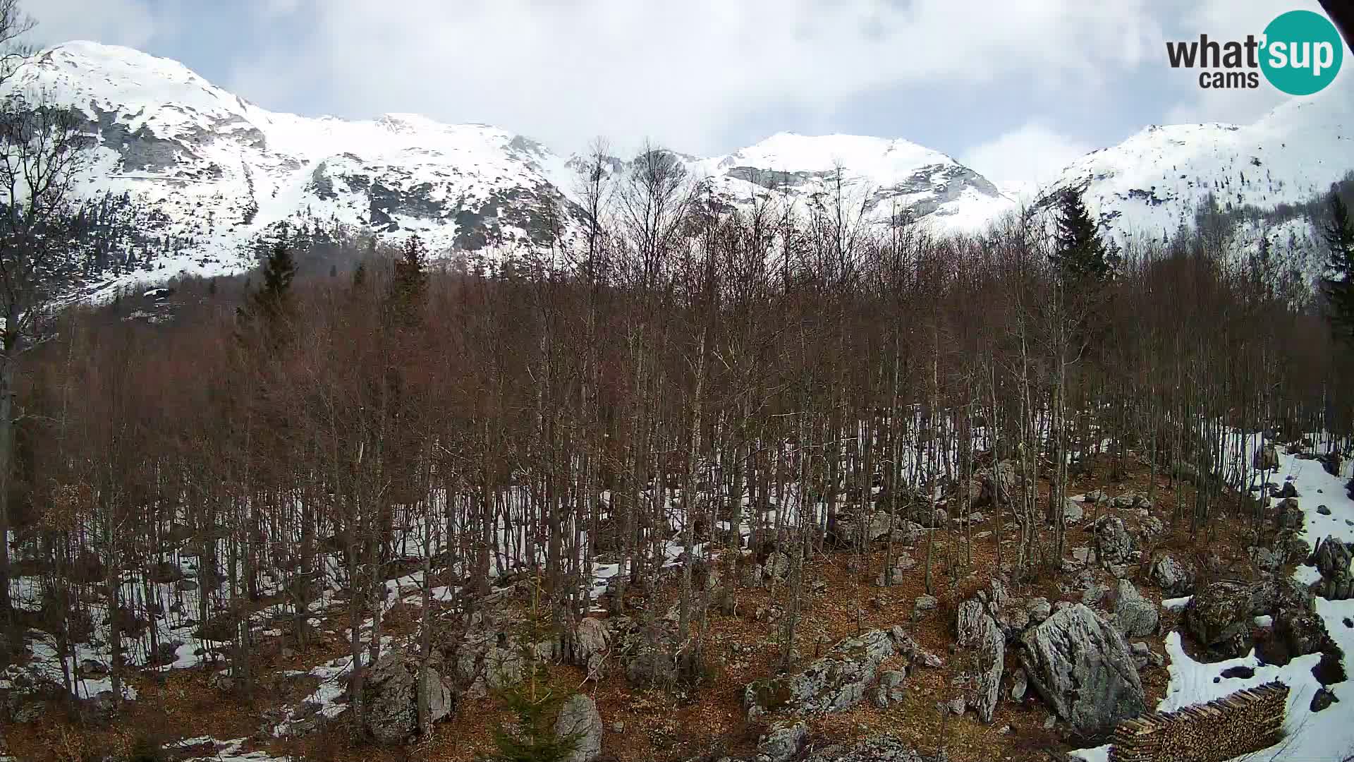 Cámara web PLANINA RAZOR (1315) | vista a Vogel y Globoko