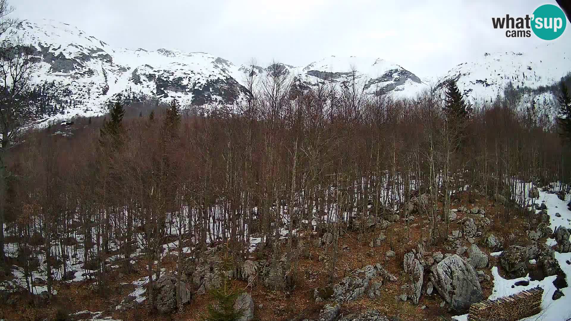 PLANINA RAZOR webcam (1315) | view to Vogel and Globoko